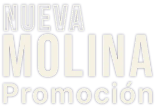 nueva-moli2 (1)